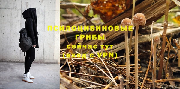 ПСИЛОЦИБИНОВЫЕ ГРИБЫ Карталы