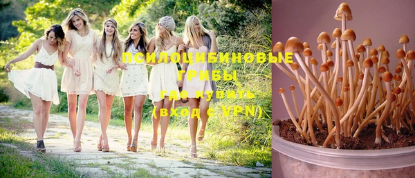 Альфа ПВП Иннополис