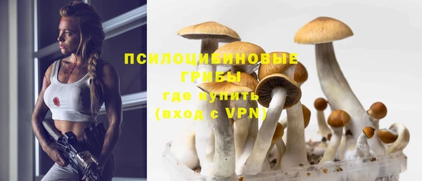 PSILOCYBIN Каменск-Шахтинский
