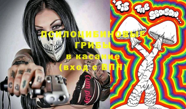 ПСИЛОЦИБИНОВЫЕ ГРИБЫ Зерноград