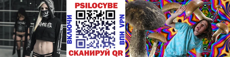 Псилоцибиновые грибы Psilocybine cubensis  Краснотурьинск 