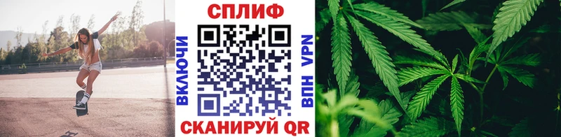Канабис White Widow Краснотурьинск